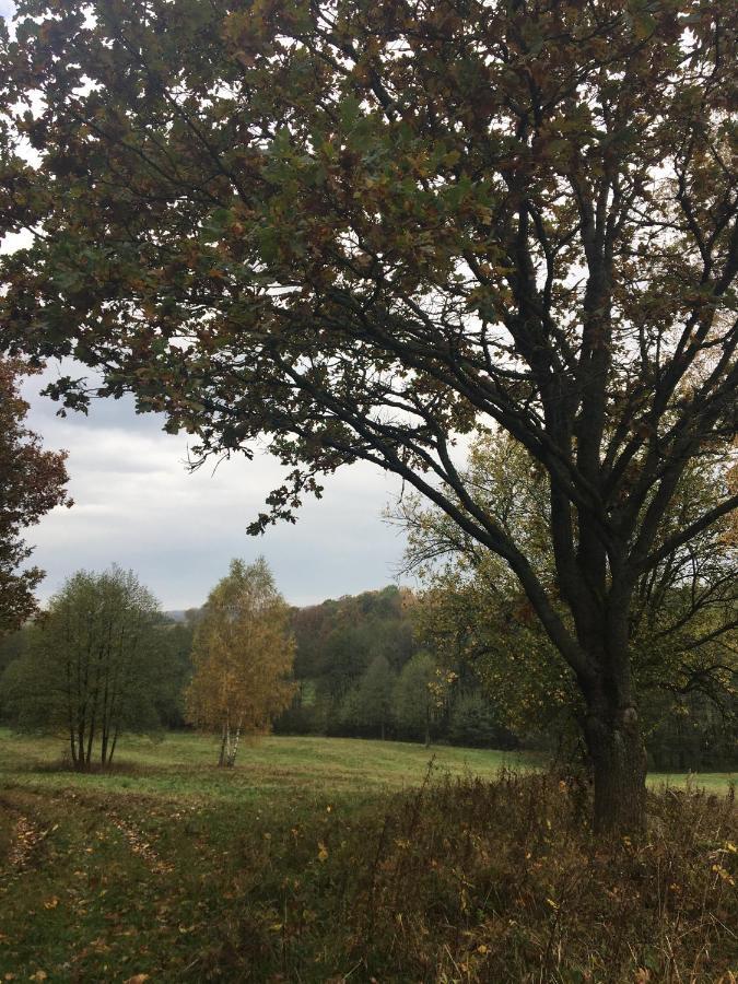 Skandynawski Farm stay *